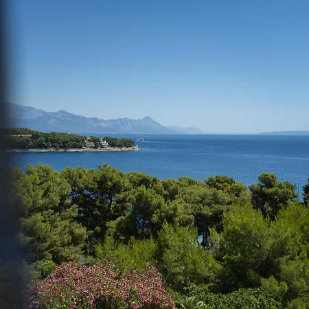 The Rooftop شقة Selca (Brac)